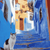 Moroccan Cat Views Diamond Painting