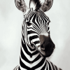 Mr Zebra Animal Diamond Painting