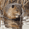 Muskrat Wildlife Diamond Painting