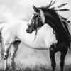 Native Horse Art Diamond Painting