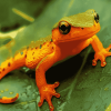 Newt on Green Leaf Diamond Painting