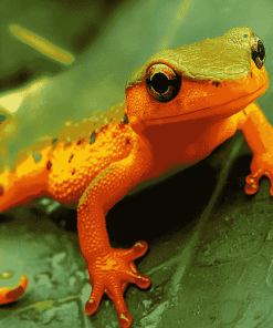 Newt on Green Leaf Diamond Painting