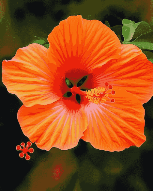 Orange Hibiscus Blossoms Diamond Painting