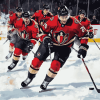 Ottawa Senators Ice Hockey Diamond Painting