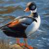 Paradise Shelduck Bird Diamond Painting