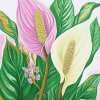 Peace Lily Blossom Diamond Painting