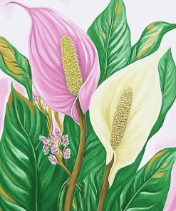 Peace Lily Blossom Diamond Painting