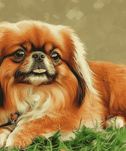 Pekingese Puppy Diamond Painting