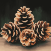 Pine Cone Tree Diamond Painting