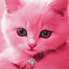 Pink Kitty Diamond Painting