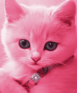 Pink Kitty Diamond Painting