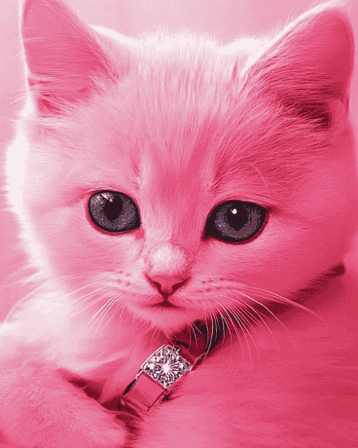 Pink Kitty Diamond Painting