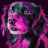 Pink and Black Puppy Diamond Painting