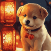 Playful Puppy Lantern Diamond Painting