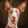 Podenco Puppy Charm Diamond Painting