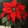 Poinsettia Blossoms Diamond Painting