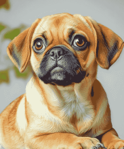 Puggle Puppy Diamond Painting