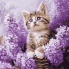 Purple Cat with Flowers Diamond Painting