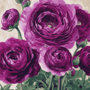 Purple Floral Blossoms Diamond Painting