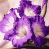 Purple Gladiolus Blossoms Diamond Painting