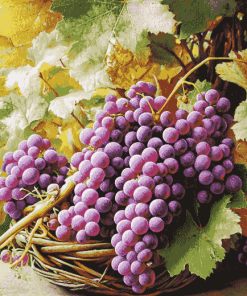 Purple Grapes Diamond Painting