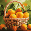 Rangpur Lemon Fruit Basket Diamond Painting