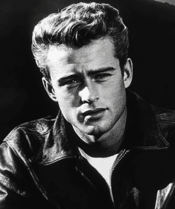 Rebel Without A Cause Film Diamond Painting