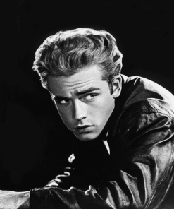 Rebel Without A Cause Monochrome Diamond Painting