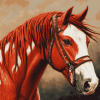 Red Native Horse Diamond Painting