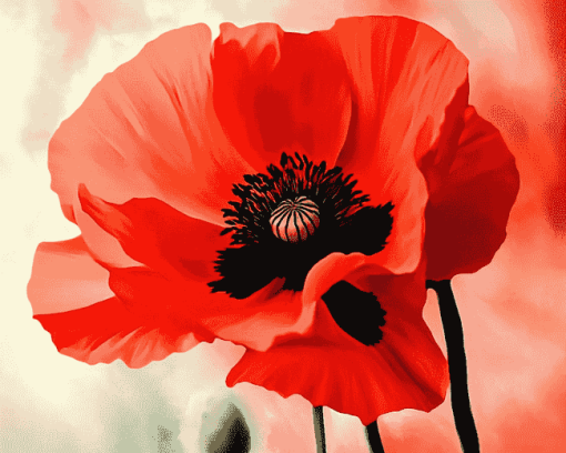 Red Poppy Flower Diamond Painting