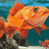 Red Rockfish Koi Carp Diamond Painting