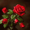 Red Rose Blossoms Diamond Painting