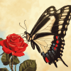 Red Rose with Butterfly Diamond Painting