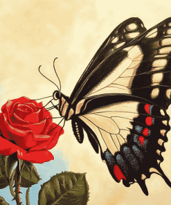 Red Rose with Butterfly Diamond Painting