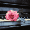 Rose Blossom Piano Diamond Painting