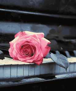 Rose Blossom Piano Diamond Painting