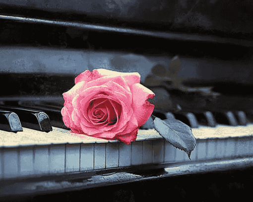 Rose Blossom Piano Diamond Painting