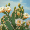 Saguaro Cactus Blossoms Diamond Painting