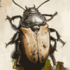 Scarab Insect Art Diamond Painting