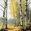 Scenic Birch Trees Woods Diamond Painting