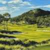 Sea Pine Golf Landscape Diamond Painting