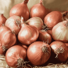 Shallots Onion Diamond Painting