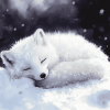 Sleepy Arctic Fox Winter Diamond Painting