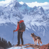 Snowy Mountain Adventure with Dogs Diamond Painting