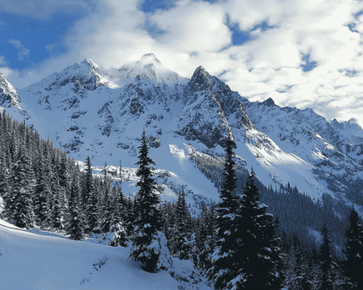 Snowy Mountains National Park Diamond Painting