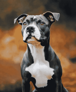 Staffordshire Bull Terrier Dog Art Diamond Painting