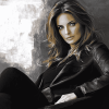 Stana Katic Celebrity Diamond Painting