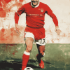 Steve Heighway Famous Footballer Diamond Painting