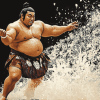 Sumo Warrior Sports Diamond Painting