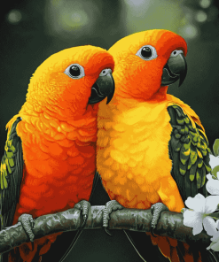 Sun Conure Parrot Diamond Painting